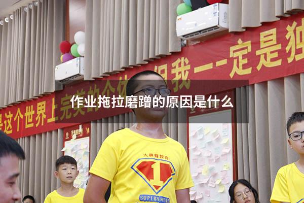 作业拖拉磨蹭的原因是什么