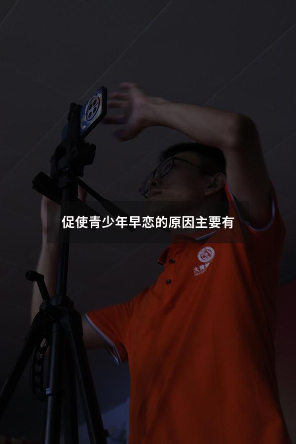 促使青少年早恋的原因主要有