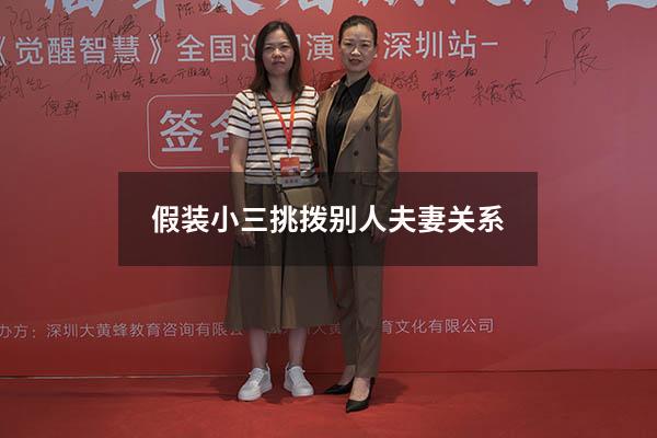 假装小三挑拨别人夫妻关系