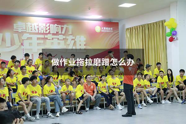 做作业拖拉磨蹭怎么办