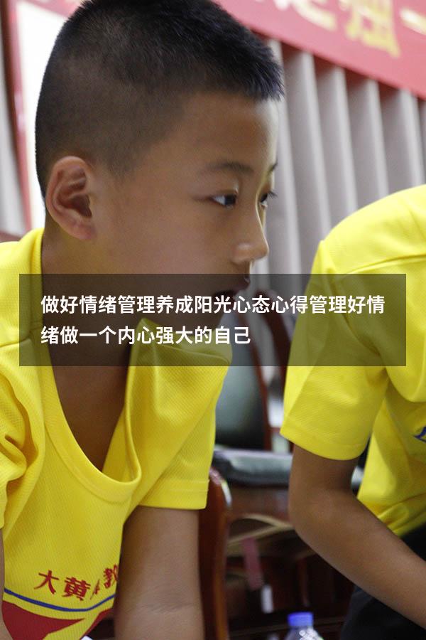 做好情绪管理养成阳光心态心得（管理好情绪,做一个内心强大的自己）