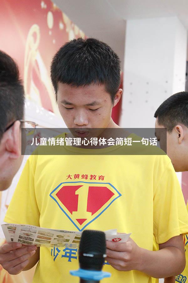 儿童情绪管理心得体会简短一句话