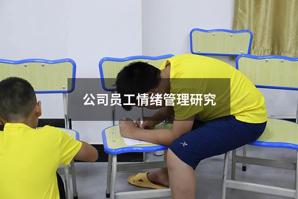 公司员工情绪管理研究