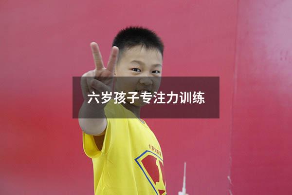 六岁孩子专注力训练