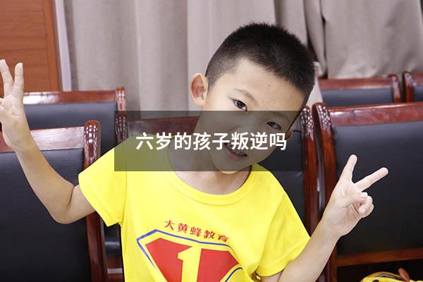六岁的孩子叛逆吗