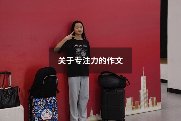 关于专注力的作文800