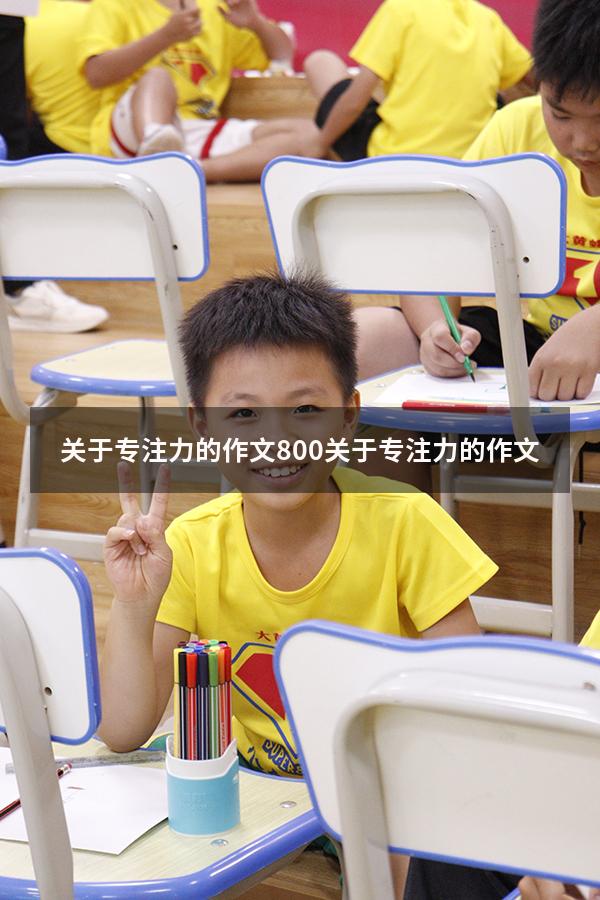 关于专注力的作文800（关于专注力的作文300）