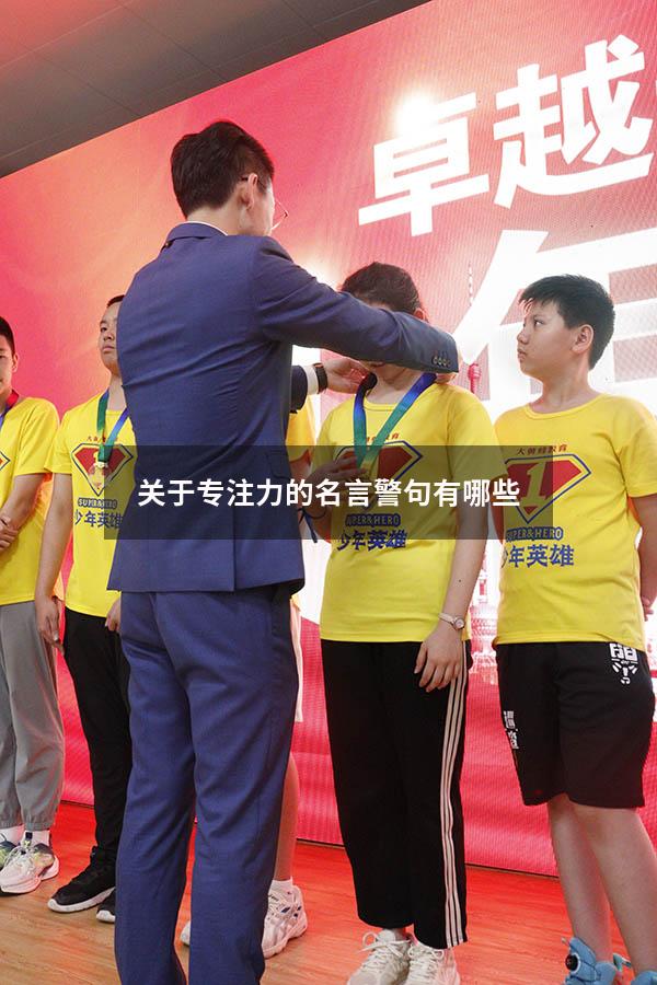 关于专注力的名言警句有哪些