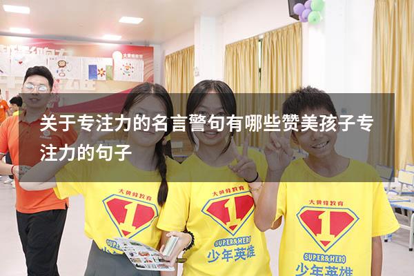 关于专注力的名言警句有哪些（赞美孩子专注力的句子）