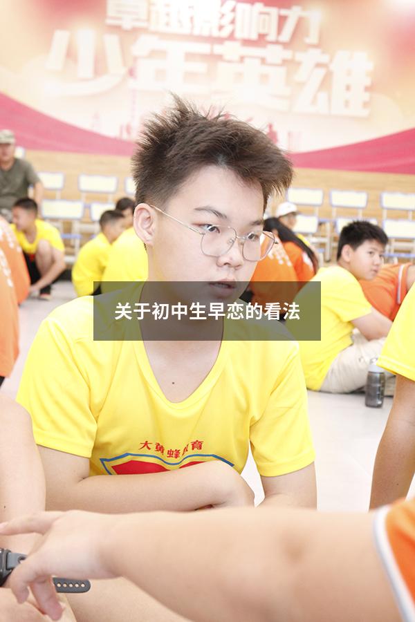 关于初中生早恋的看法