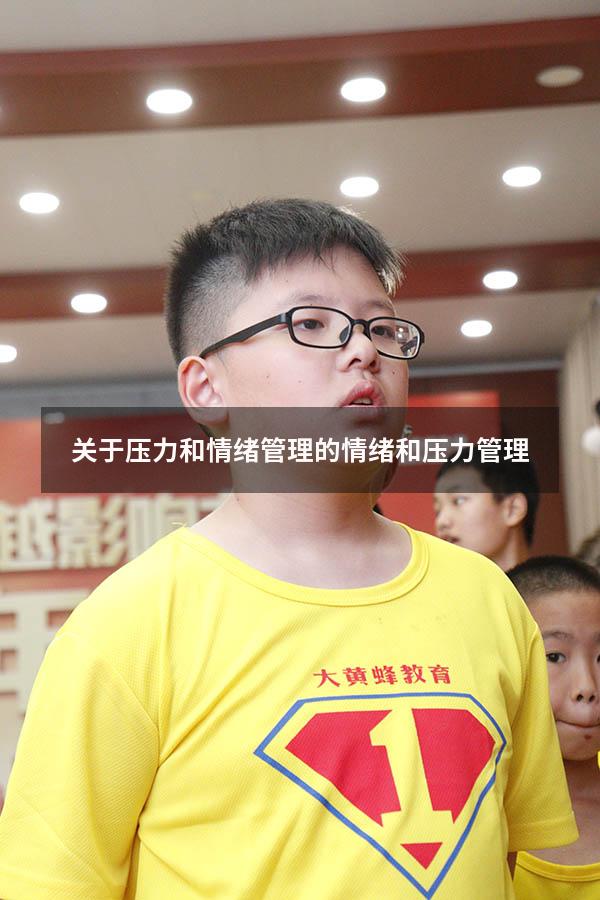关于压力和情绪管理的（情绪和压力管理）