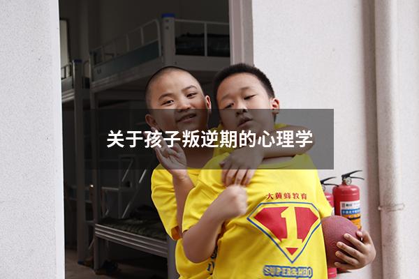 关于孩子叛逆期的心理学