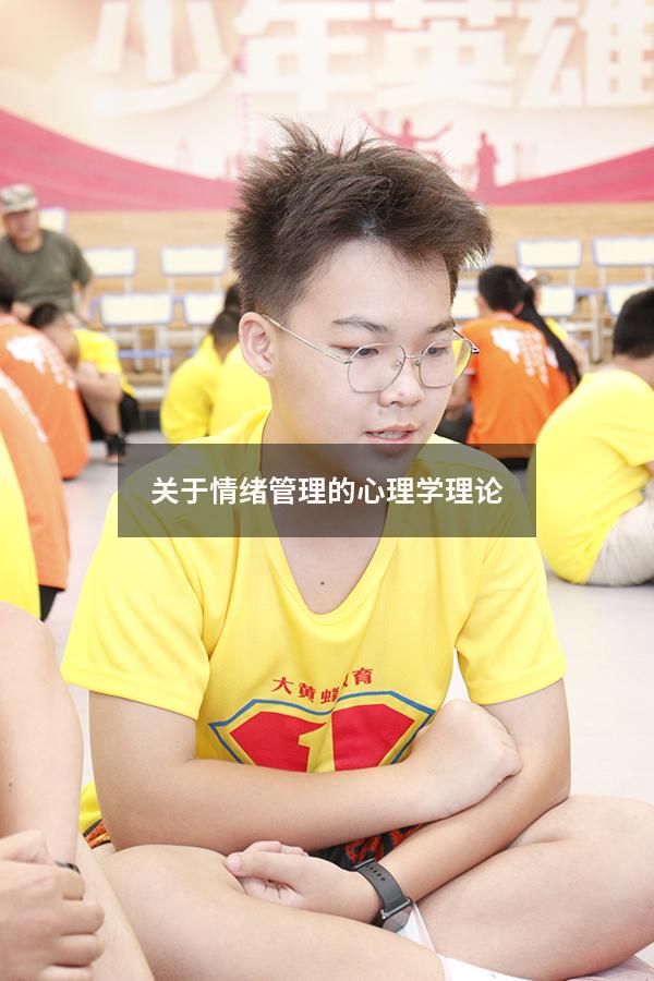 关于情绪管理的心理学理论