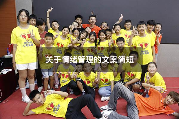 关于情绪管理的文案简短