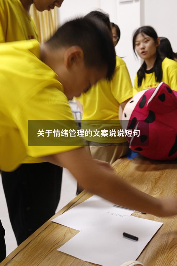 关于情绪管理的文案说说短句