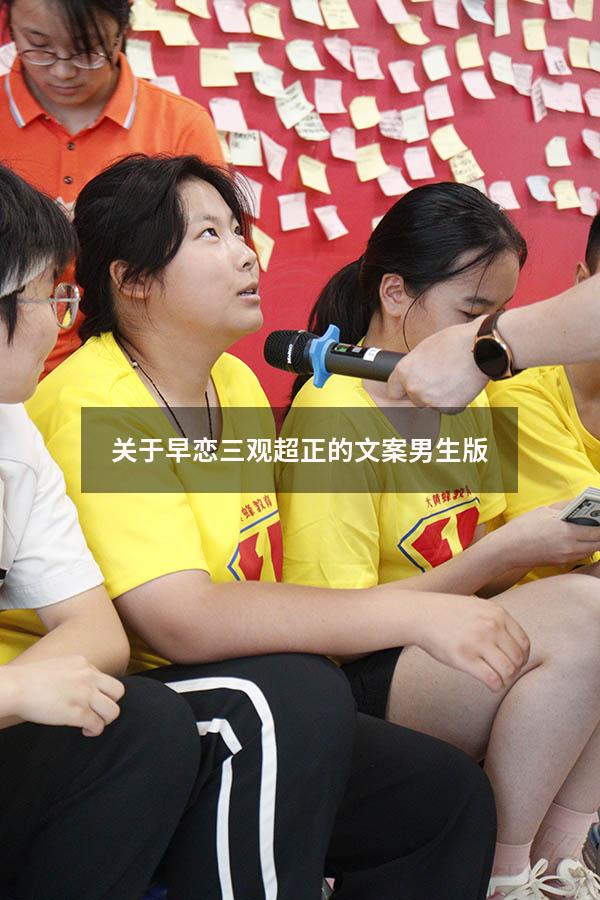 关于早恋三观超正的文案男生版