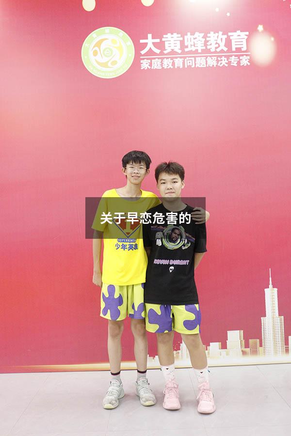 关于早恋危害的