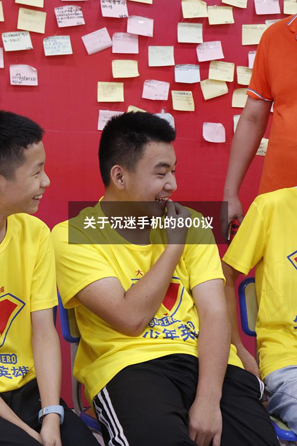 关于沉迷手机的800议