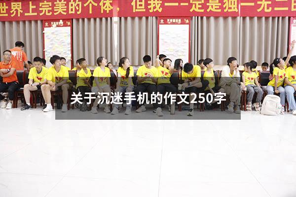 关于沉迷手机的作文250字（关于手机的作文500字）