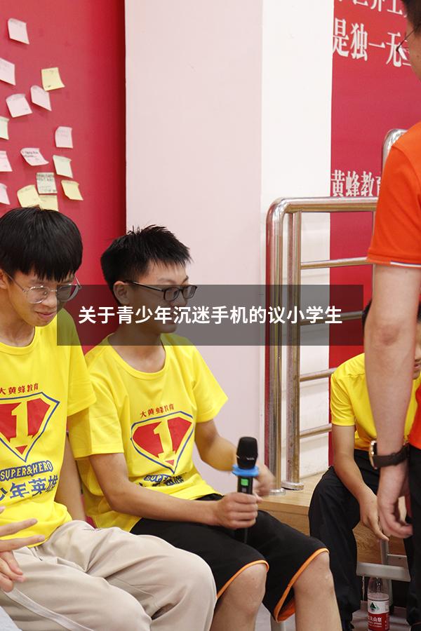 关于青少年沉迷手机的议小学生（青少年沉迷网络的原因）