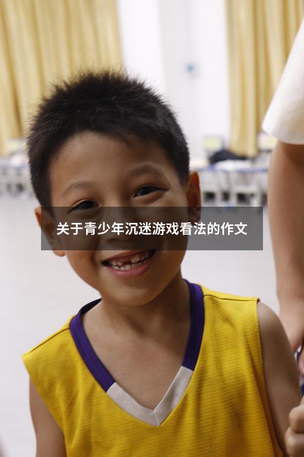 关于青少年沉迷游戏看法的作文