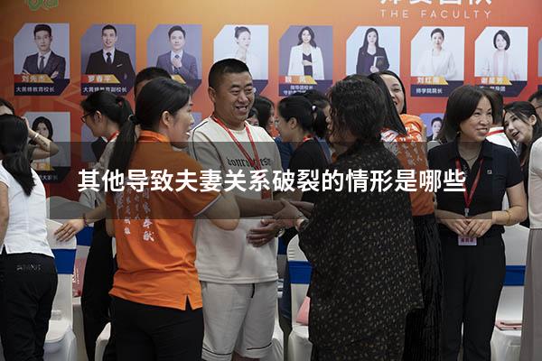 其他导致夫妻关系破裂的情形是哪些