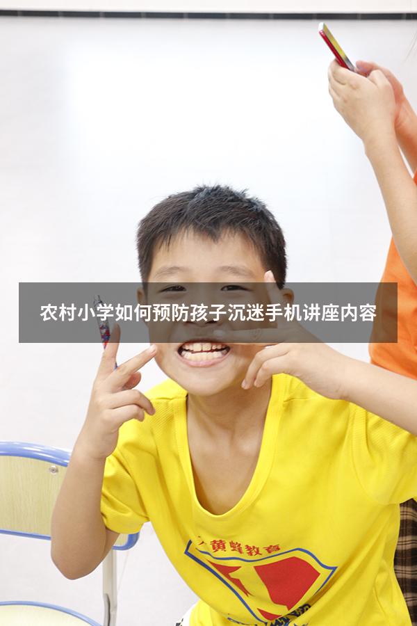 农村小学如何预防孩子沉迷手机讲座内容