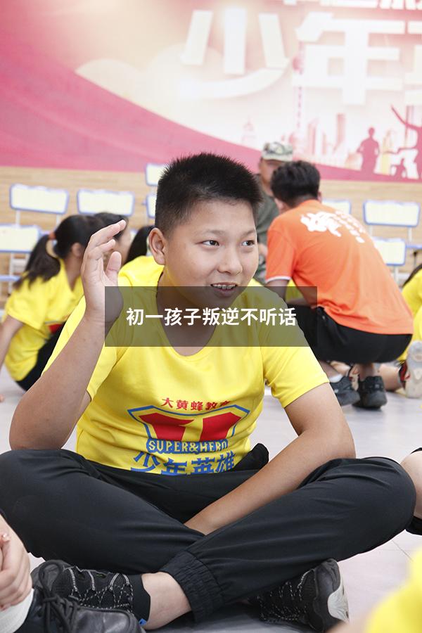 初一孩子叛逆不听话