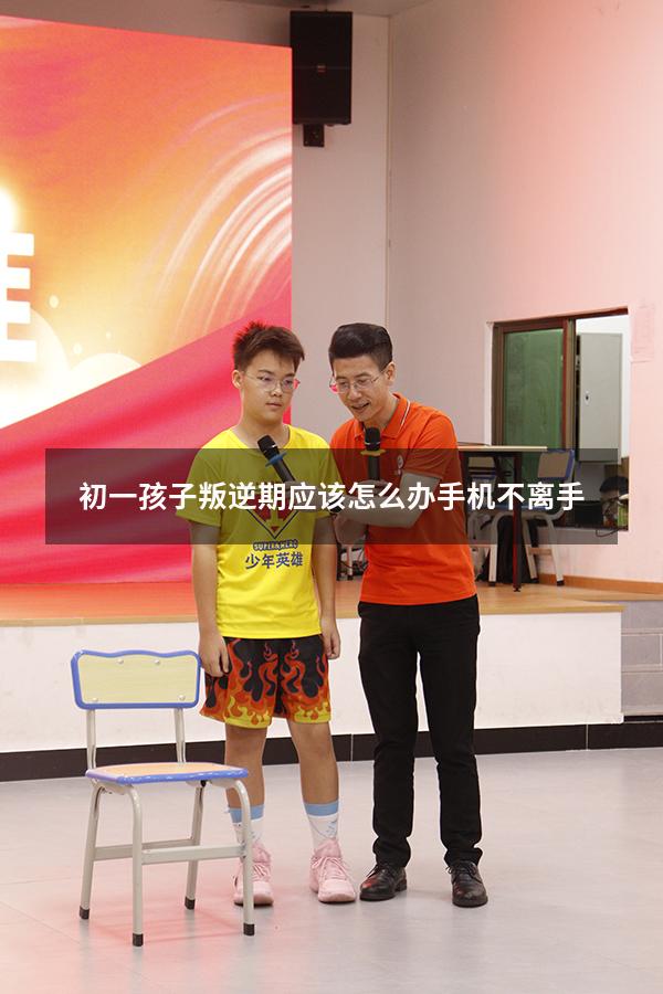 初一孩子叛逆期应该怎么办手机不离手