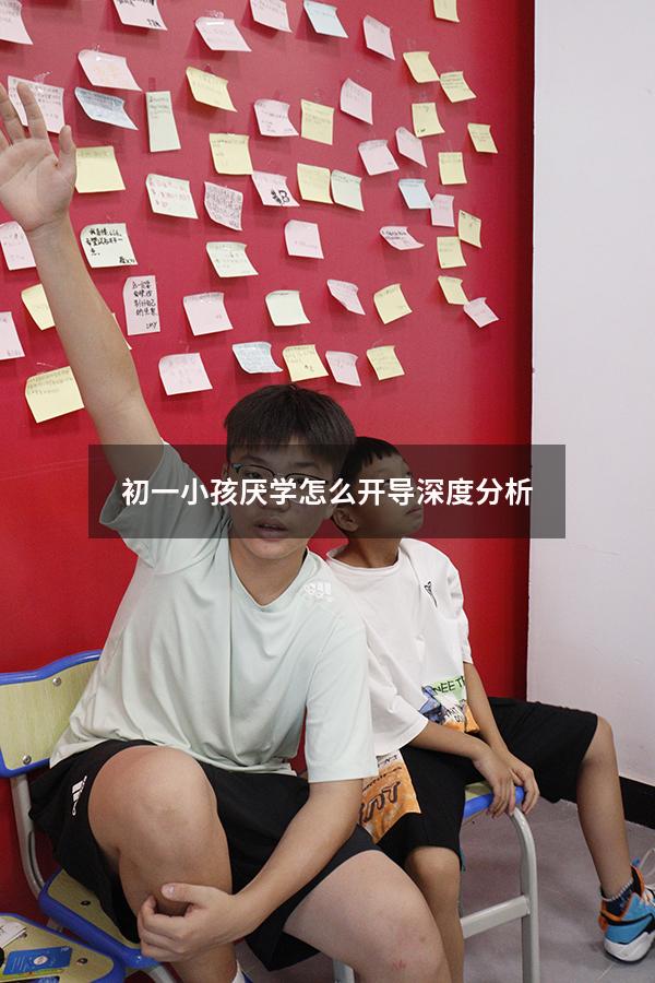 初一小孩厌学怎么开导？深度分析！（初一的孩子厌学,不肯去上学,怎么办）