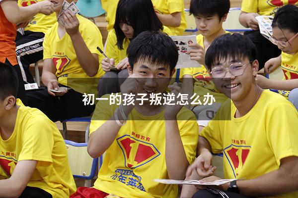 初一的孩子叛逆怎么办