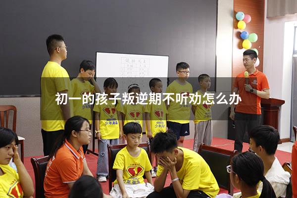 初一的孩子叛逆期不听劝怎么办