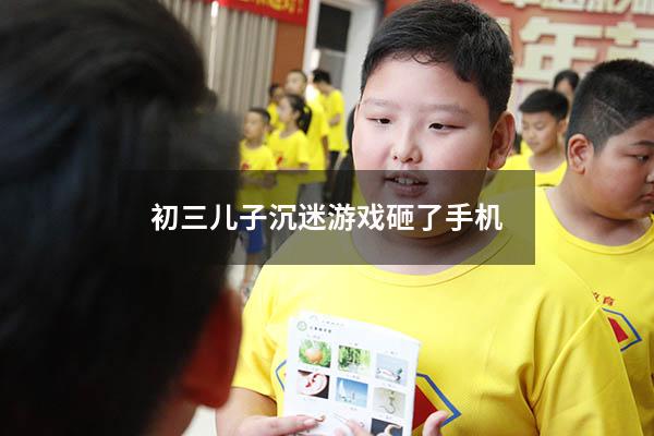 初三儿子沉迷游戏砸了手机