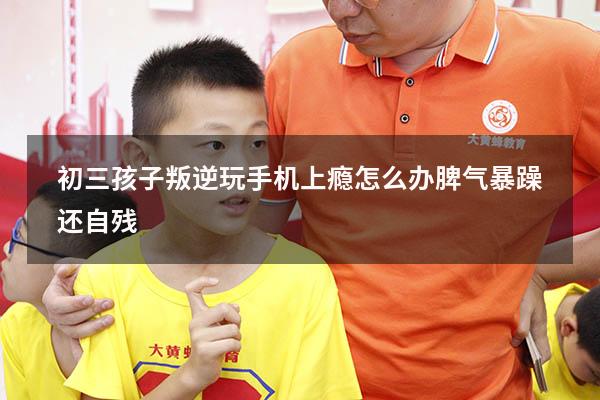 初三孩子叛逆玩手机上瘾怎么办脾气暴躁还自残