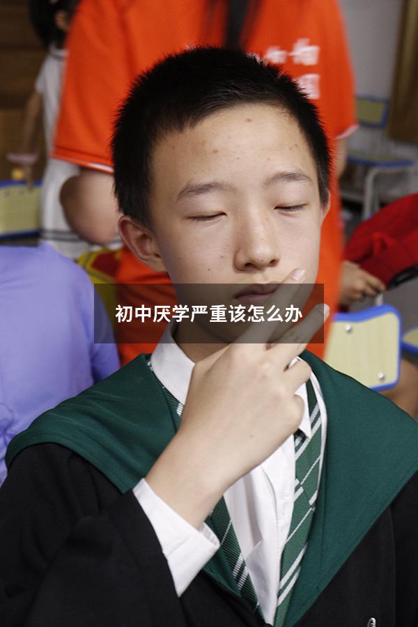 初中厌学严重该怎么办？（孩子彻底厌学怎么办）