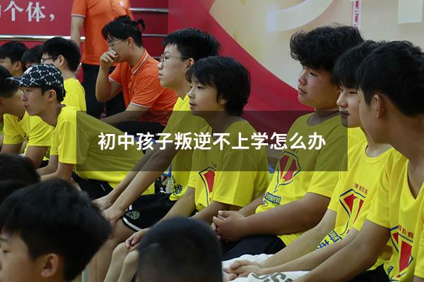 初中孩子叛逆不上学怎么办（孩子说厌学家长怎么办）