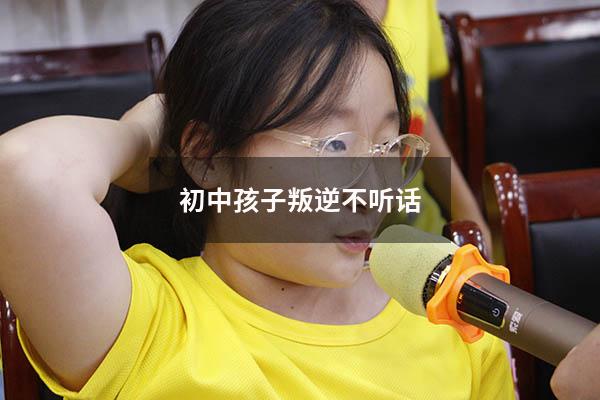 初中孩子叛逆不听话