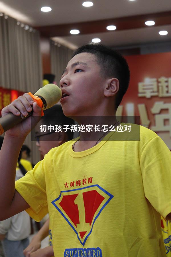 初中孩子叛逆家长怎么应对