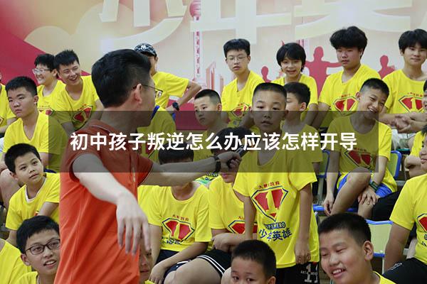 初中孩子叛逆怎么办应该怎样开导（孩子初中叛逆期怎么办）