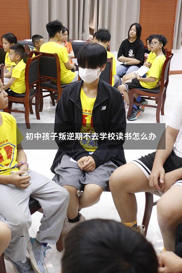 初中孩子叛逆期不去学校读书怎么办