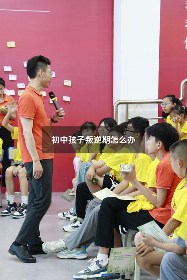 初中孩子叛逆期怎么办