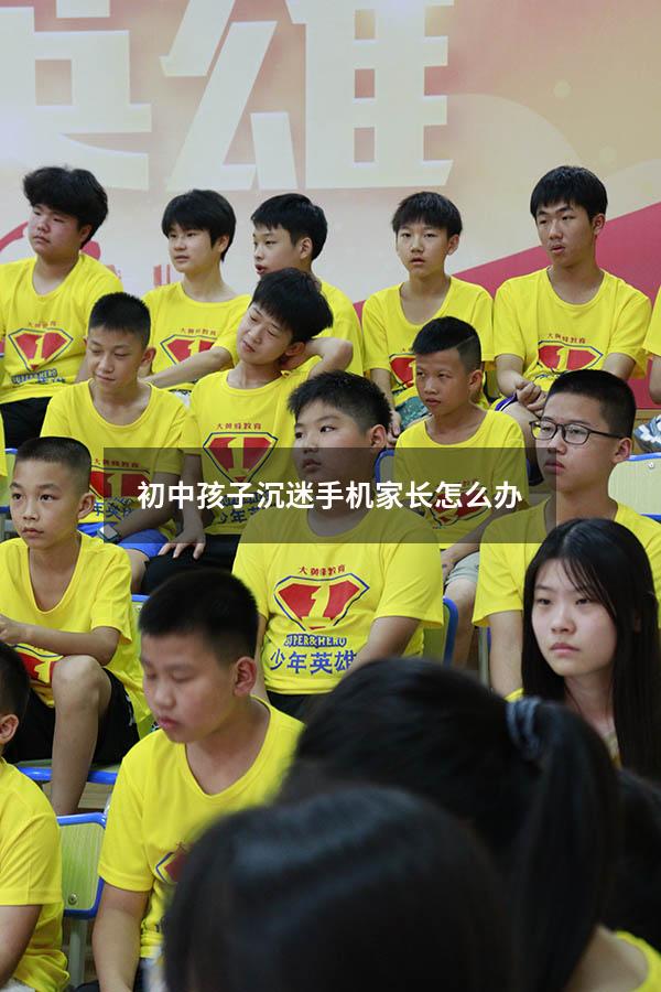 初中孩子沉迷手机家长怎么办