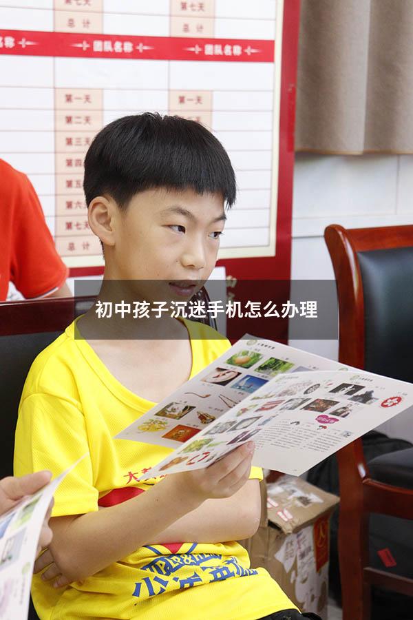 初中孩子沉迷手机怎么办理（初中孩子偷手机怎么处理）