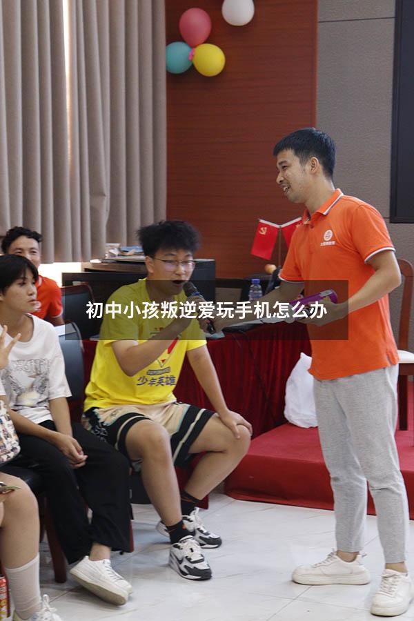 初中小孩叛逆，爱玩手机怎么办（初三学生叛逆爱玩手机怎么办）
