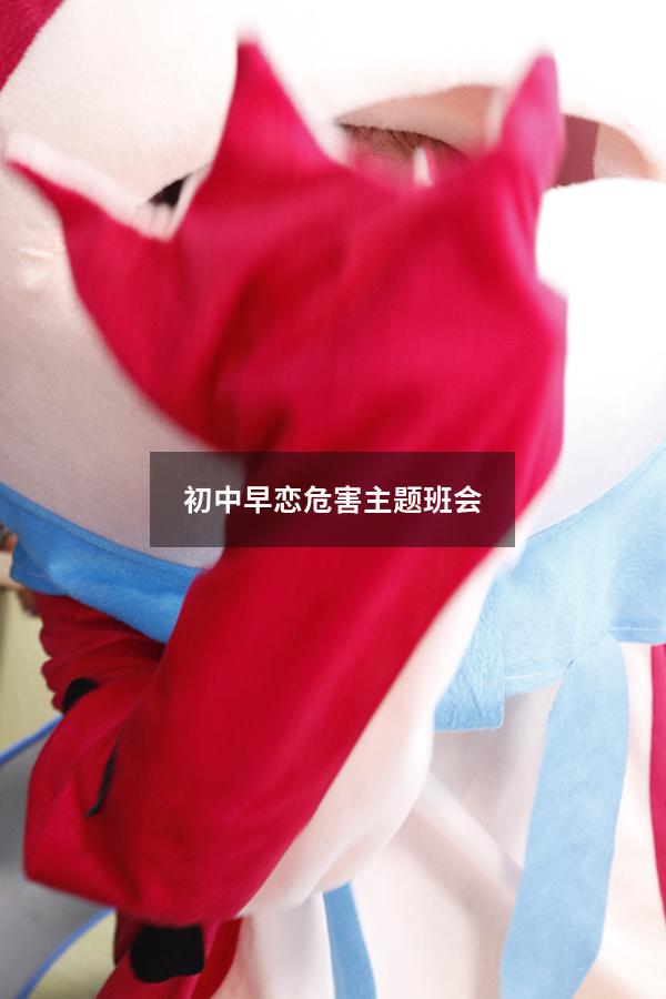 初中早恋危害主题班会