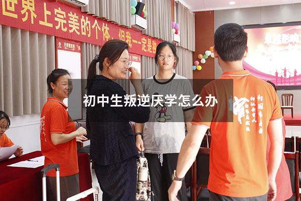 初中生叛逆厌学怎么办？（对于叛逆厌学的孩子如何教育）