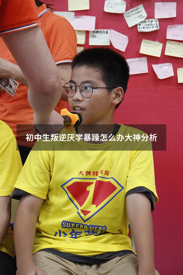 初中生叛逆厌学暴躁怎么办？大神分析！（初中生叛逆家长怎么办）