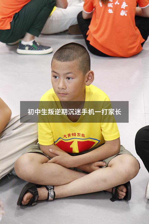 初中生叛逆期沉迷手机一打家长（青春期孩子沉迷游戏怎么办）