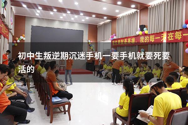 初中生叛逆期沉迷手机一要手机就要死要活的（叛逆期玩手机上瘾怎么办）