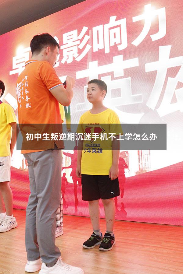初中生叛逆期沉迷手机不上学怎么办